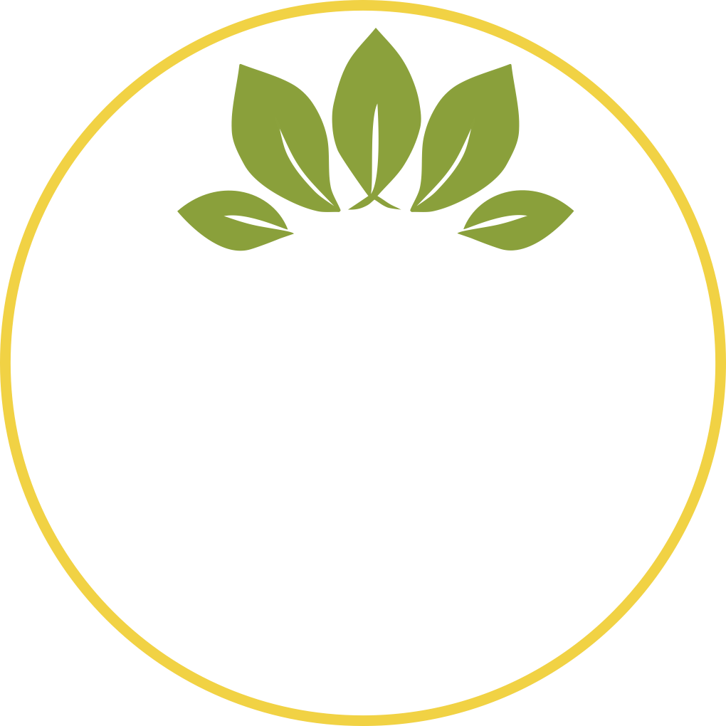 The Fresh Roots